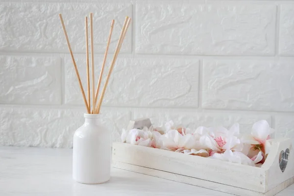 Difusor Caña Aroma Con Perfume Stick Está Decorado Habitación Idea — Foto de Stock