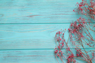 Tiny small flowers on wooden background, copy space
