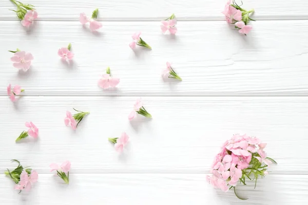 stock image Small pink flowers on white wooden rustic background