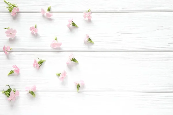 Små Rosa Blommor Vit Trä Rustik Bakgrund — Stockfoto