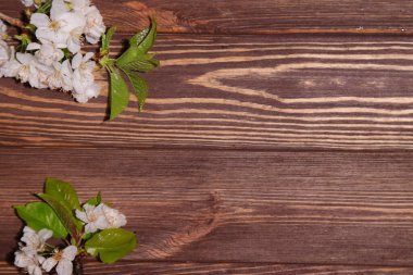 Tahta masada kiraz çiçekleri, çiçek arkaplanı.