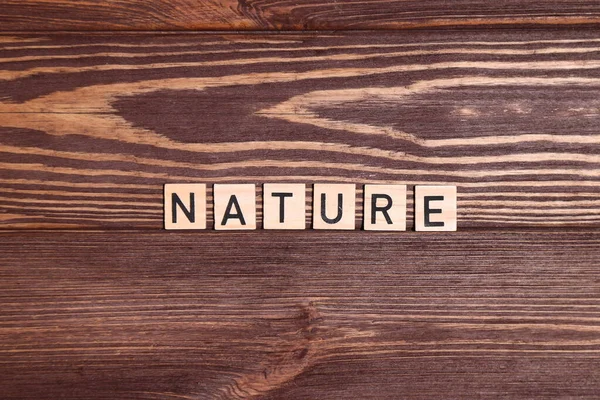 Word Nature Lettering Top View Wooden Background — Stock Photo, Image