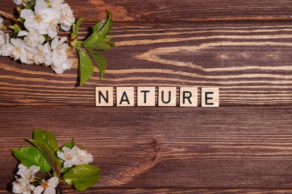 Word Nature Lettering Top View Wooden Background — Stock Photo, Image