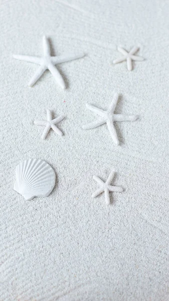 Weiße Seesterne Auf Dem Sand Sommer Strand Hintergrund — Stockfoto