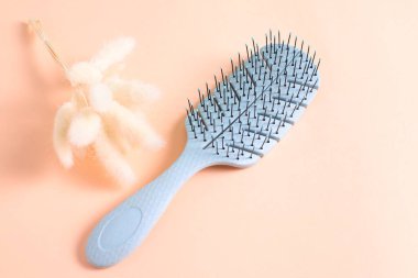 Saç fırçası, saç fırçası, aksesuar, fotokopi alanı