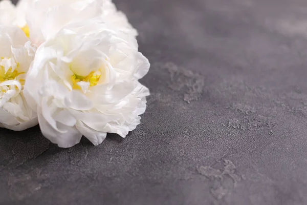 Weiße Blüten Pfingstrose Blumen Floraler Hintergrund Blumenkarte — Stockfoto