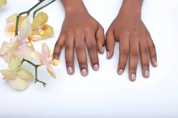 Afro Amerikaanse Vrouw Handen Zwarte Huid Manicure Witte Achtergrond Met — Stockfoto