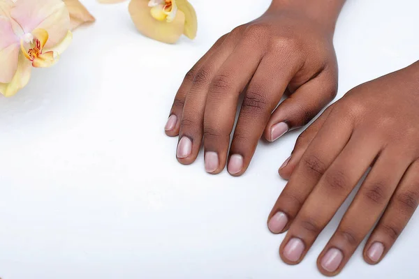 Afro Amerikaanse Vrouw Handen Zwarte Huid Manicure Witte Achtergrond Met — Stockfoto
