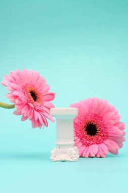 Beyaz Roma sütunlu, minimalizm tarzında, mavi arka planda pembe gerbera çiçekli bir ürün sergisi.