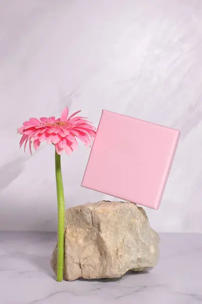 Mockup pink present box, gift package mock up on stone and pink flower