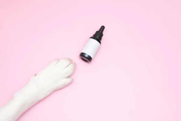 Pembe arka planda hayvan yemi şişesi mockupand köpek pençesi.