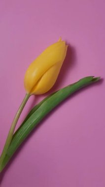 Sarı laleler çiçek buketi, çiçekçi 