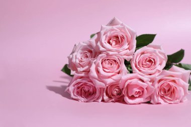 Pembe güller, çiçekli tebrik kartları, ürün geçmişi.