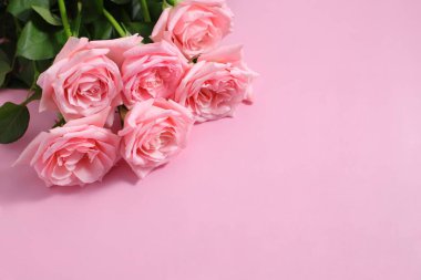 Pembe güller, çiçekli tebrik kartları, ürün geçmişi.