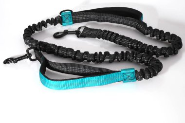 Siyah ve yeşil köpek tasması, evcil hayvan aksesuarları