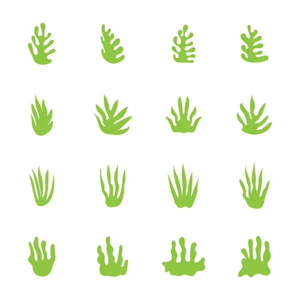 Абстрактное Зеленое Листовое Растение Изолированной Векторной Иллюстрацией Декоративного Искусства Белом — стоковый вектор