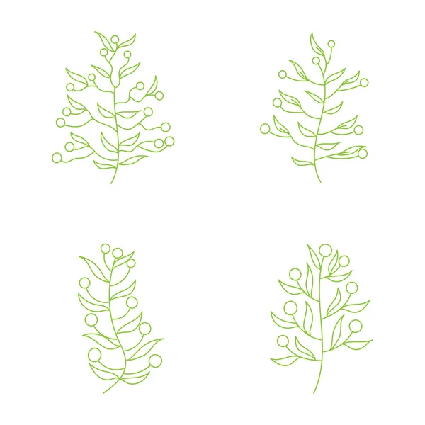 Grüne Blattpflanze Mit Dekorativer Kunst Isoliert Vektor Illustration Auf Weißem — Stockvektor