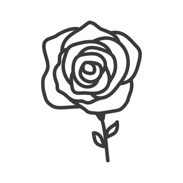 Ikona Růže Izolované Plochý Design Vektor Ilustrace Bílém Pozadí — Stockový vektor