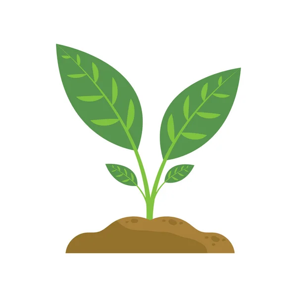 Stock vector Plants icon vector illustration on white background.