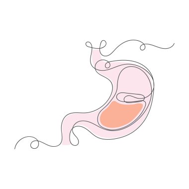 Beyaz arkaplanda sürekli bir sanat eseri mide vektörü çizimi.