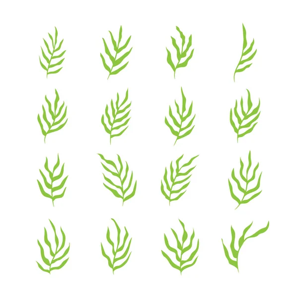 Ícone Verde Folhas Orgânicas Conjunto Vetor Isolado Ilustração Fundo Branco — Vetor de Stock