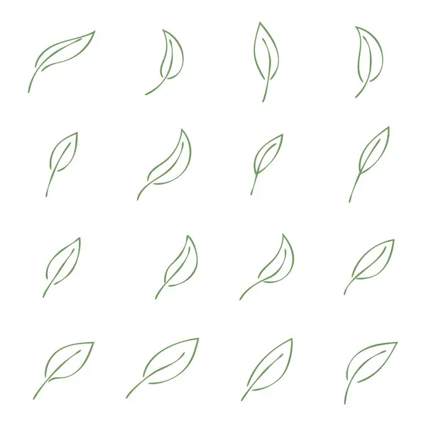 Leaf Icon Set Isolator Illustration Auf Weißem Hintergrund Vektorgrafiken