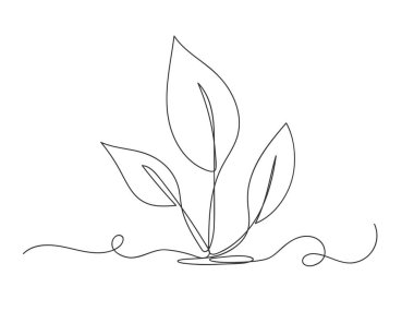 Doğal organik bitki, beyaz arkaplanda izole edilmiş bir sanat çizgisi..