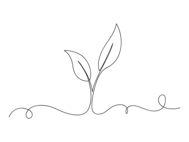 Doğal organik bitki, beyaz arkaplanda izole edilmiş bir sanat çizgisi..