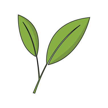 Beyaz arkaplanda yeşil yapraklar izole edilmiş düz stil tasarım vektör çizimi.