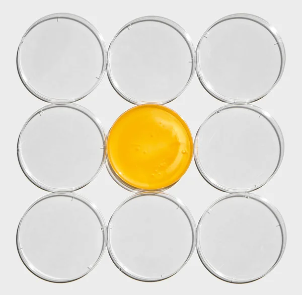 Shower Cream Petri Dish Plastic Lid White Laboratory Table Chemical — Stock Photo, Image