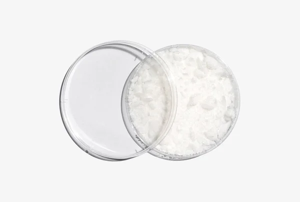 에스테스 밀랍을 페트리 접시에 플라스틱 뚜껑을 실험실 식탁에 놓는다 위에서 — 스톡 사진