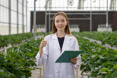 Beyaz cüppeli beyaz kadın meyve araştırmacısı elinde dosya tutarken parmağını kaldırdı. İçerideki çilek çiftliğinde çalışan bir atmosfer. Organik sebze yetiştirme kavramı.