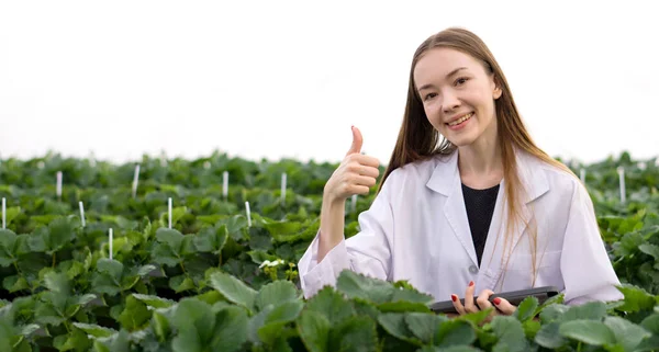 Beyaz Kadın Botanik Bilimcisi Çiftlikte Organik Çilek Yetiştirirken Parmağını Kaldırıyor — Stok fotoğraf
