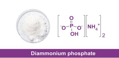 Di Amonyum Prosphate moleküler yapıya sahip kimyasal saat camında. Üst Görünüm