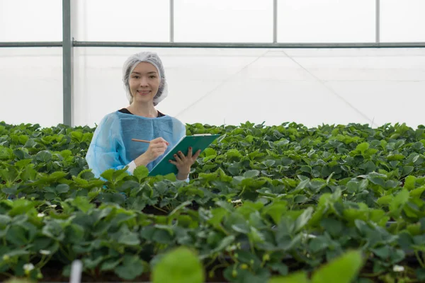 A woman stands inside a greenhouse, holding a clipboard in her hands, surrounded by many green plants.
