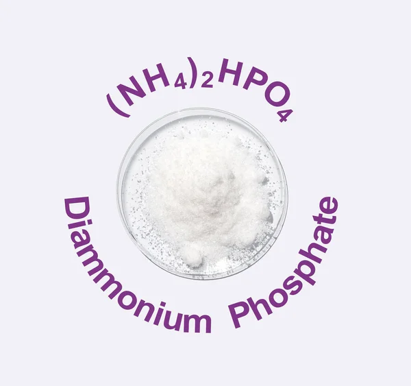 Closeup chemical ingredient on white laboratory table. Di-Ammonium Phosphate in chemical watch glass with molecular structure. Top View
