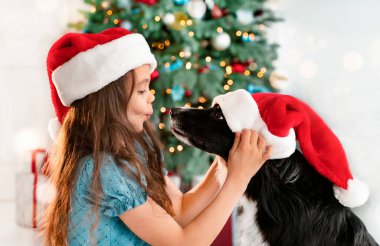 Tatlı bir genç kız köpeğiyle eğleniyor Noel ağacının yanında onu öpmeye çalışıyor.. 