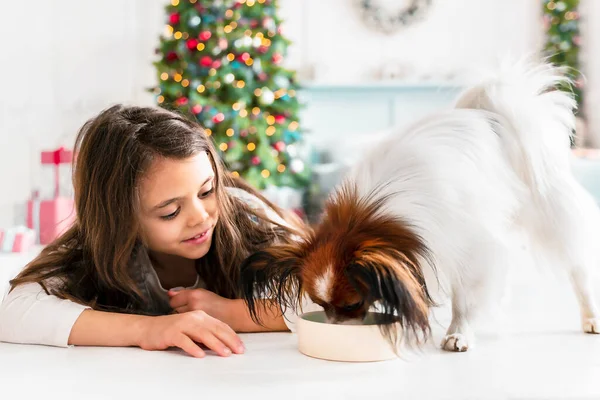 Roztomilé Dospívající Dívka Krmí Svého Psa Pod Vánočním Stromečkem Vánoční — Stock fotografie