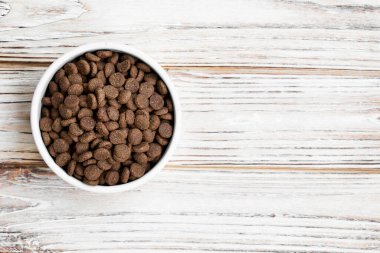 Hafif ahşap arka planda bir tabakta evcil hayvan mamasının yakın çekimi. Boşluğu kopyala