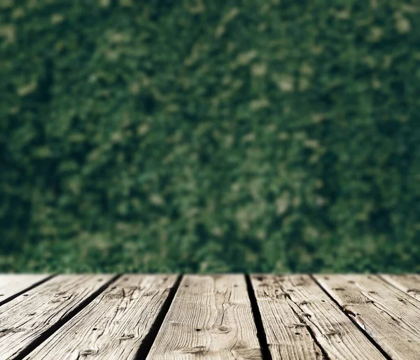 Весняний Дерев Яний Фон Зеленим Листям Фоні Копіювати Простір — стокове фото