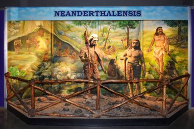 NeANDERTHALENSIS veya Homo sapiens Bilim Şehri Müzesi 'nde heykel, Ahmedabad, Gujrat, Hindistan