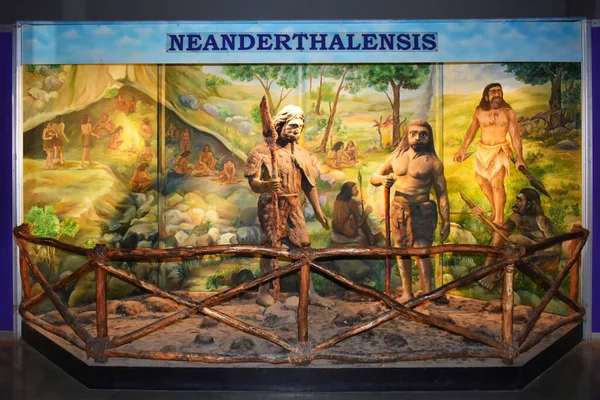 Neanderthalensis Homo Sapiens Escultura Museo Ciencia Ciudad Ahmedabad Gujrat India — Foto de Stock