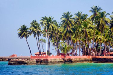 Ross Adası, resmi adıyla Netaji Subhas Chandra Bose Adası, Andaman Adaları 'nda bir adadır.