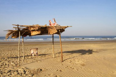 Mandrem sahilindeki turist gölgesi, Kuzey Goa, Hindistan