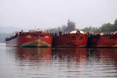 Barges parked on mandovi river, Goa clipart