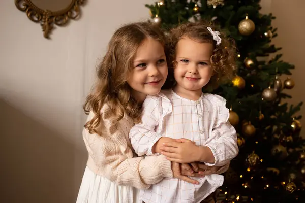 自宅でクリスマスツリーの近くで抱擁する2人の小さな女の子 ストック写真
