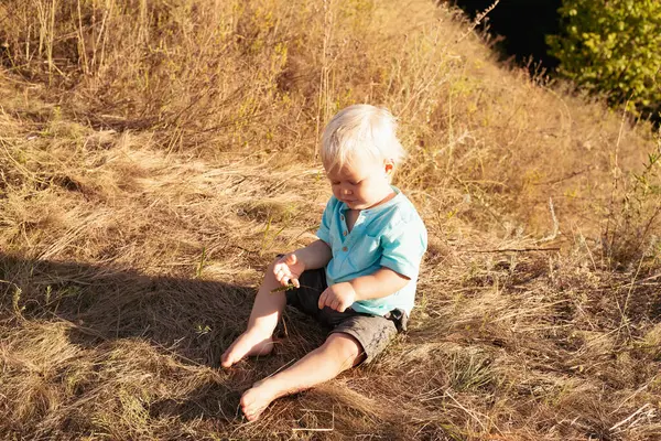 Yazın doğada sevimli tombul bir çocuk gün batımında güneş ışınlarıyla çimenlerde oynuyor.
