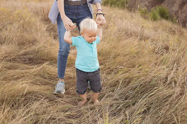 Küçük çocuk ilk adımlarını atıyor ve anne yazın ellerini çimlerin üzerinde gün batımında güneş ışınlarıyla tutuyor.