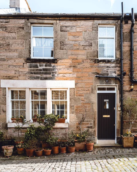 stock image Mews house with lots of potted plants in front of it