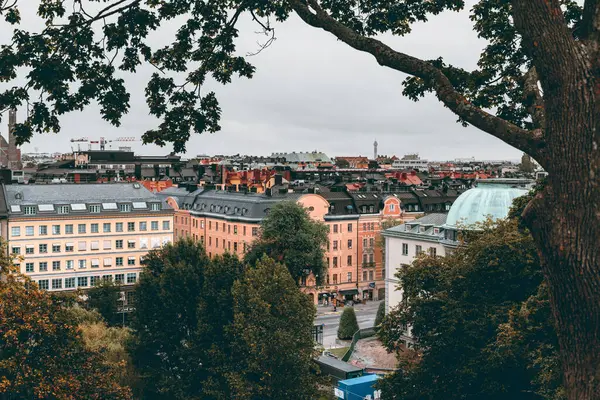 Buildings Stockholm Framed Tree — Stock Photo, Image